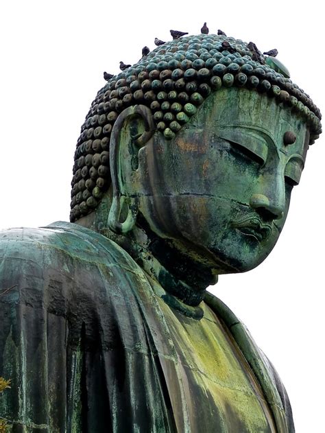 the daibutsu face|Meeting the Kamakura Daibutsu